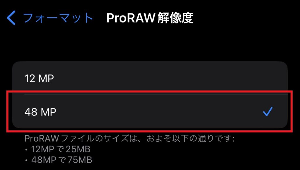 iPhone14 Pro Raw設定方法