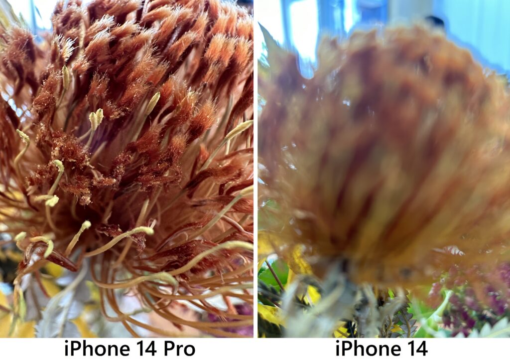 iPhone14 Proマクロ撮影比較