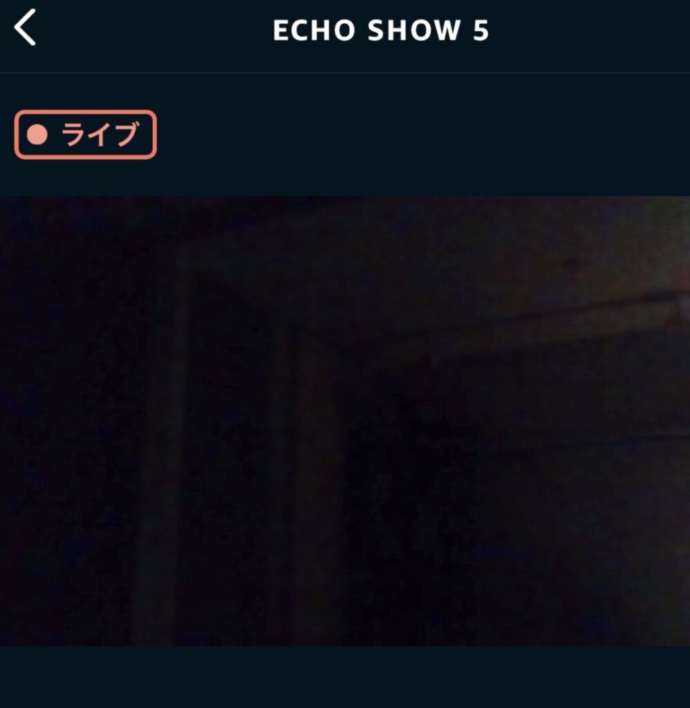 Echo Show 5 カメラの映り方