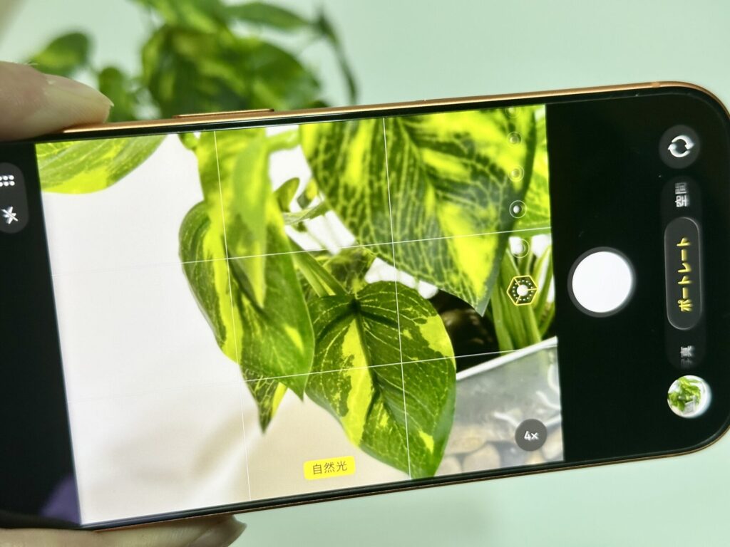 iPhone 17 Pro ポートレートの使用感