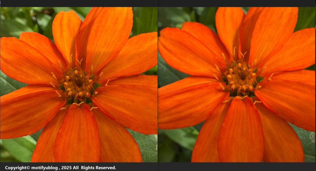 iPhone 17 ProとiPhone 14 Pro　マクロ比較