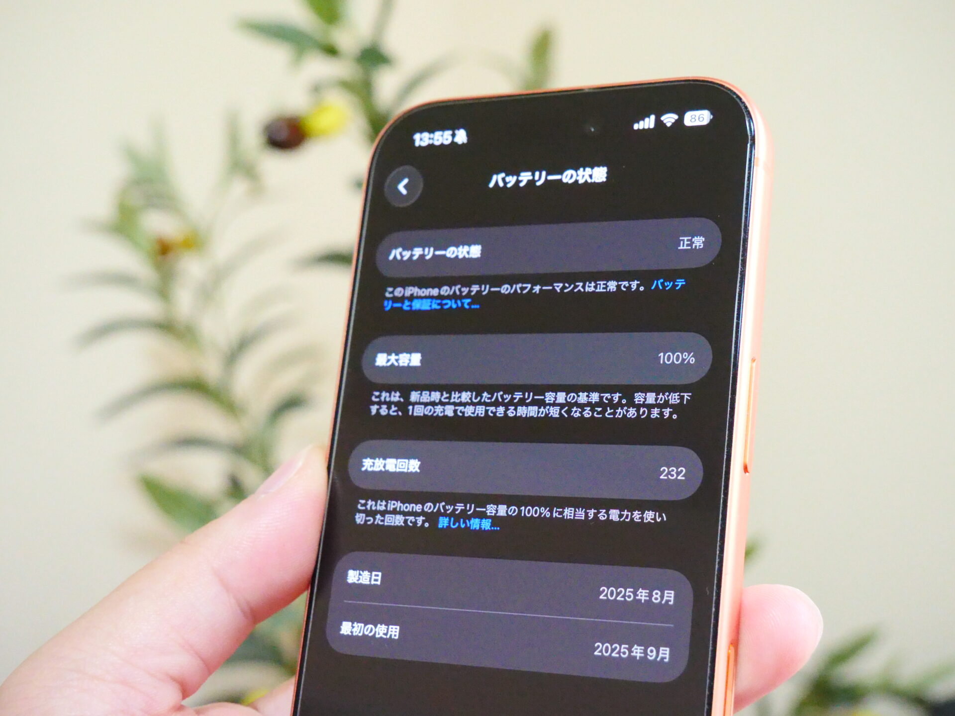 iPhone 17 Pro バッテリー最大容量