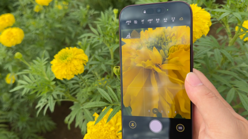 iPhone 18 Pro マクロ